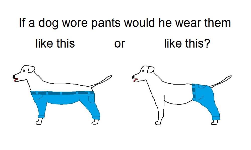 dogpants