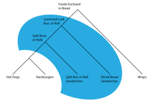 Proposed phylogeny of sandwiches